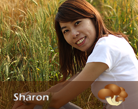 Sharon的珍珠菇分享文